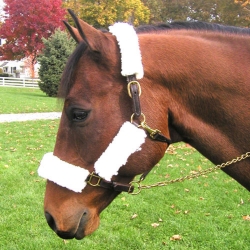 Best Friend Headcollar / Muzzle Synthetic Fleece Cover